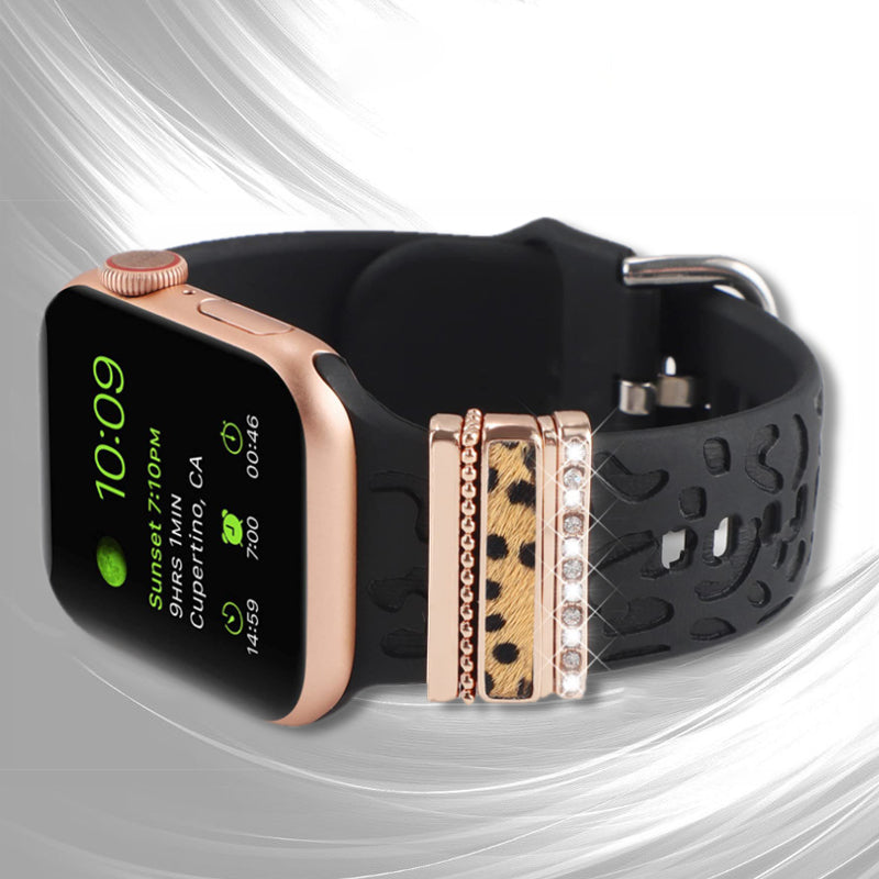 אביזרי מתכת עבור Apple Watch