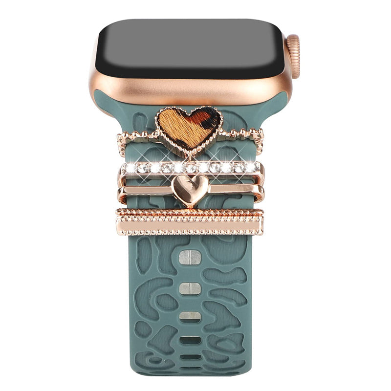 אביזרי מתכת עבור Apple Watch